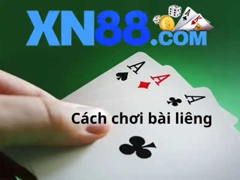 hướng dẫn - xn88 hướng dẫn - xn88