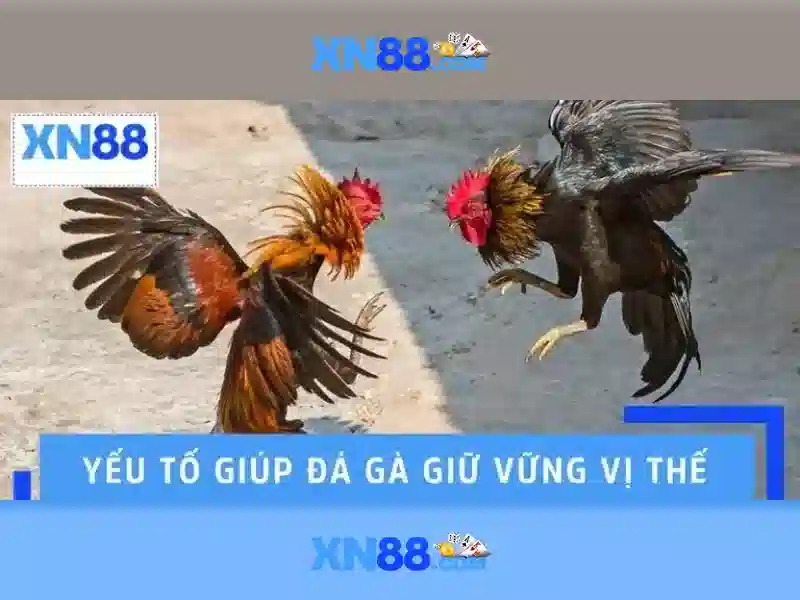 link vào XN88 - xn88 link vào XN88 - xn88