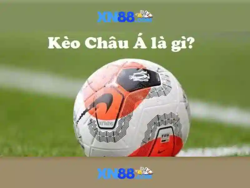 💎slot board accessories💎 💎slot board accessories💎