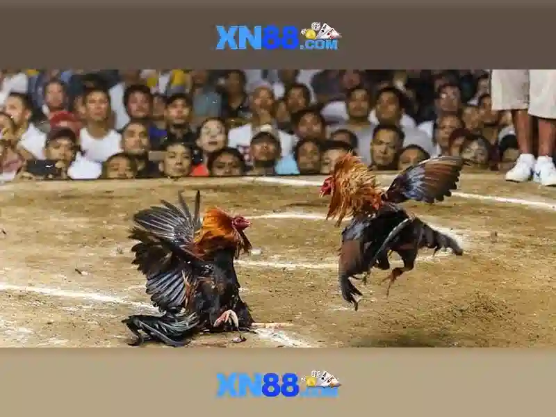 💎kèo nhà cái hàn quốc💎 💎kèo nhà cái hàn quốc💎