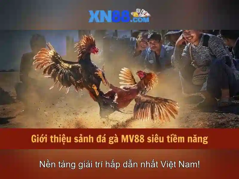 💎wild west duel slot💎 💎wild west duel slot💎