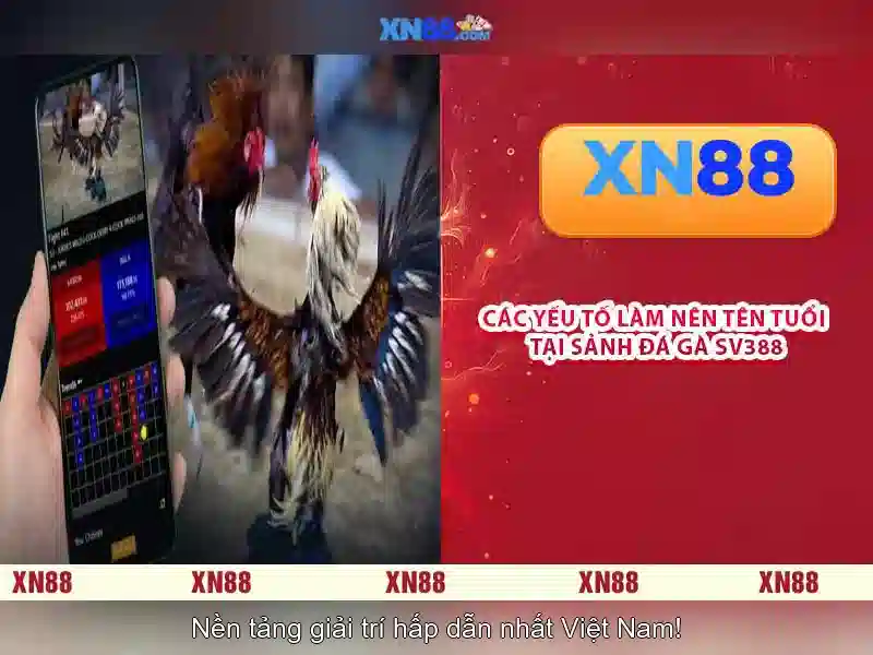 💎ty le keo bong da so nha cai💎 💎ty le keo bong da so nha cai💎