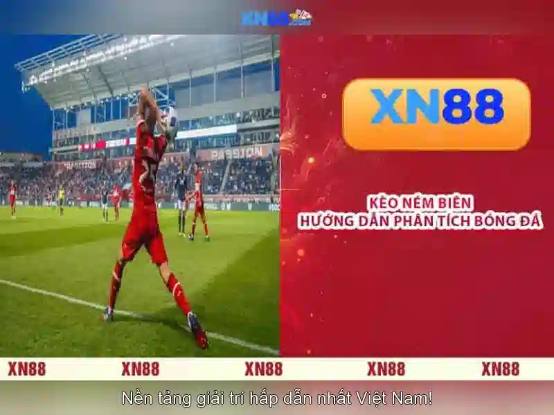 💎trang web cá cược bóng đá thenyic.org💎 💎trang web cá cược bóng đá thenyic.org💎